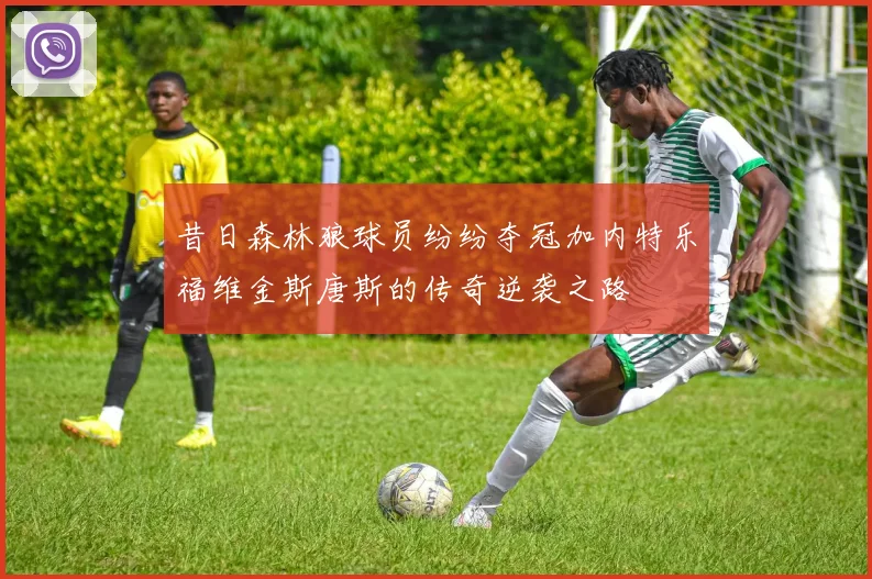 昔日森林狼球员纷纷夺冠加内特乐福维金斯唐斯的传奇逆袭之路